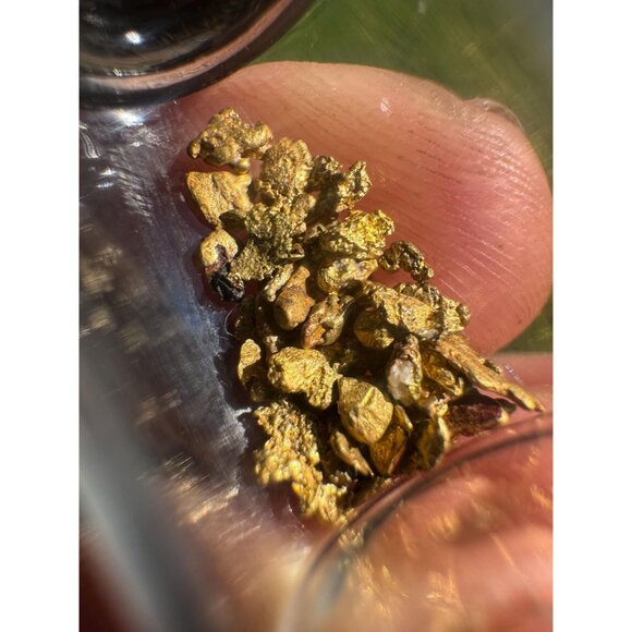 Gold Nuggets in Jar - California Placer Gold - 1.36 grams - Picture 4 of 7